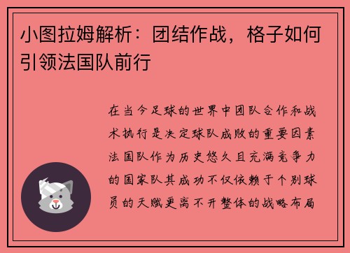 小图拉姆解析：团结作战，格子如何引领法国队前行